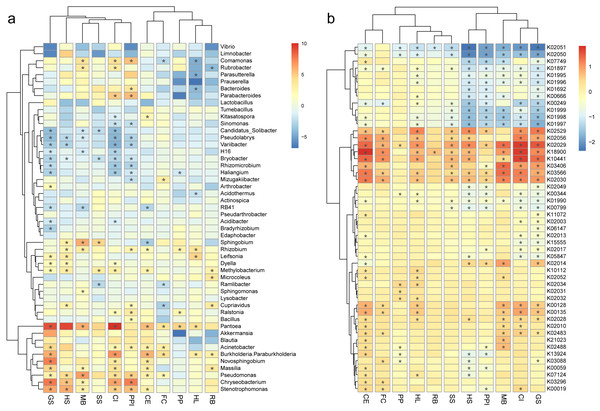 Heatmaps show the log fold change of bacterial genera (A) and predicted genes (B) in root samples, either enriched (red) or decreased (blue), when compared against rhizosphere samples, plotted by plant species.