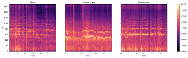 Log spectrum of bee colony sounds of dataset two.