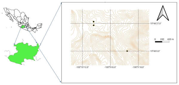 Sampling sites within the Tlalpujahua-El Oro mining district in eastern Michoacán, México.