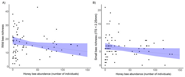 The decline in richness of urban wild bees and small bees with honey bee abundance.