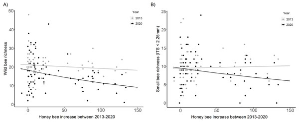 Wild bee richness and small bee richness before (2013) and after (2020) a substantial increase in urban beekeeping in Montreal, QC.