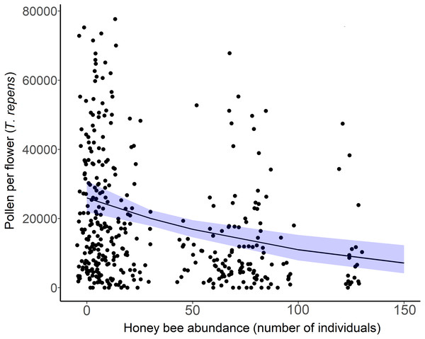 White clover (Trifolium repens) depletion with honey bee abundance.