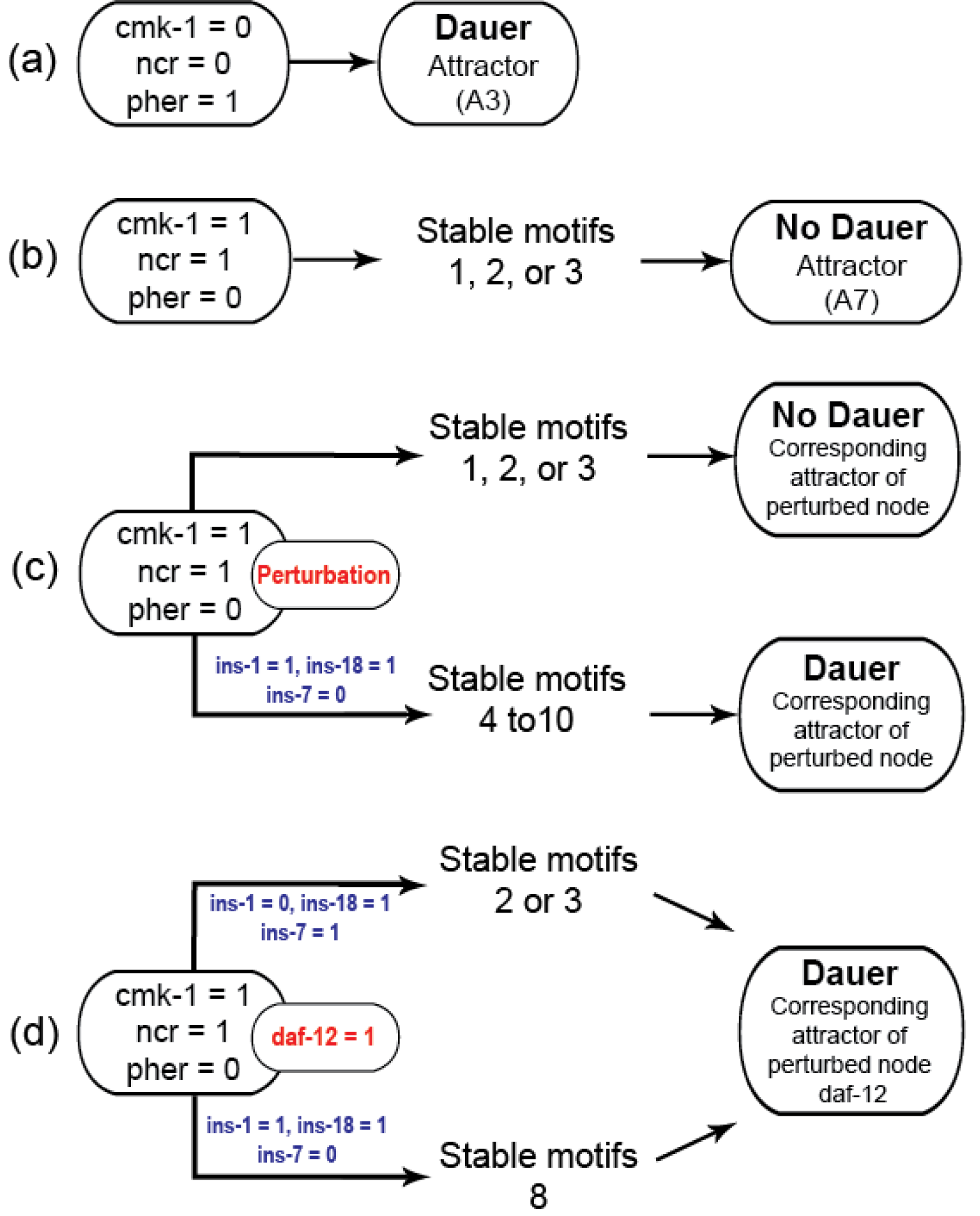 Dauer fate in a Caenorhabditis elegans Boolean network model [PeerJ]