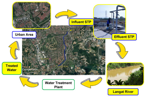 Map of sampling point and urban water cycle (influent STP, effluent STP, Langat River (surface water), and treated water from WTP).