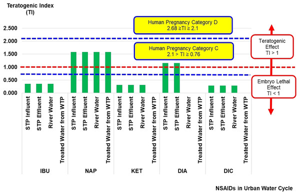 Teratogenic index (TI) of NSAIDs in the urban water cycle.