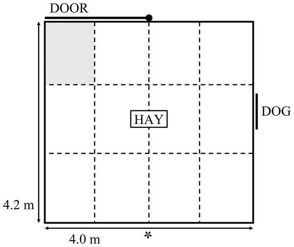 Schematic diagram of the attention bias test.