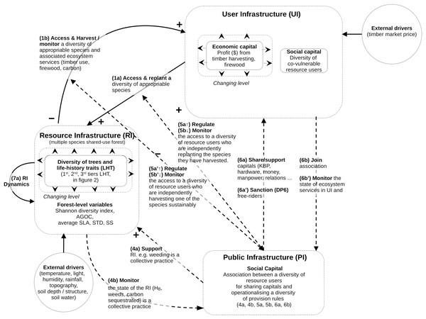 Conceptual model of coupled infrastructure system (CIS) framework derived from Ostrom’s theory on common pool resources.