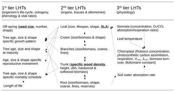 Structure of the ecological model for the resource infrastructure.