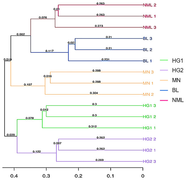 UPGMA clustering tree based on sample distance matrix.