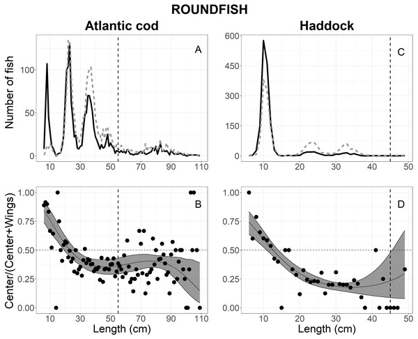Length frequency and catch-at-length curves of roundfish.