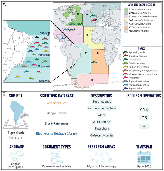 (A) Topic distribution discussed in this review throughout the Atlantic Ocean.