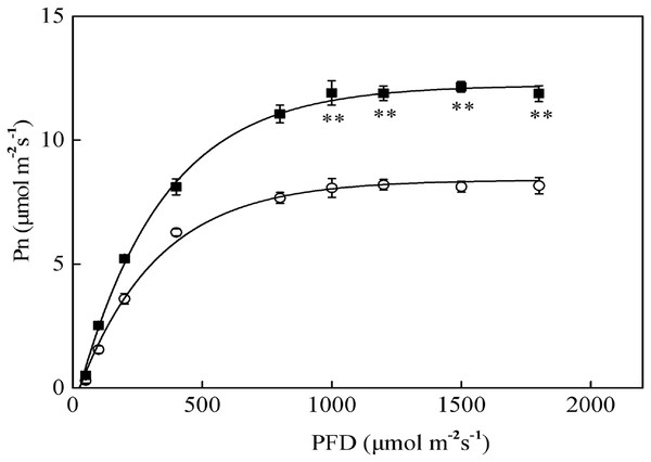 The photosynthesis–photosynthetic photon flux density (Pn-PFD) curves for sapling and seedling leaves.
