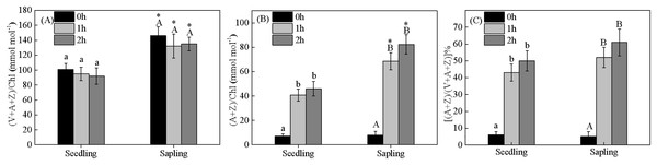 Changes in (A) xanthophyll cycle pigment contents, (B) the contents of de-epoxidation components, and (C) the de-epoxidation state in sapling and seedling leaves.