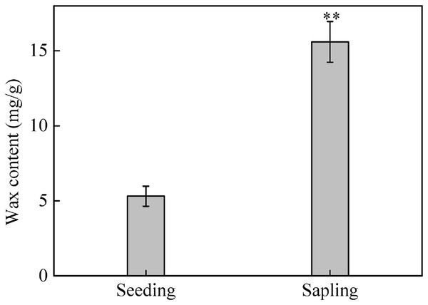 The content of epicuticular wax in sapling and seedling leaves.