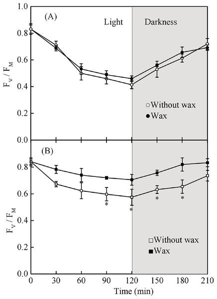 (A) The change in Fv/Fm in the adaxial surface of seedling leaves with and without waxy coverage. (B) The change in Fv/Fm in the adaxial surface of sapling leaves with and without waxy coverage.