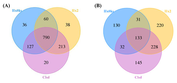 Distribution of OTU numbers of bacteria (A) and fungi (B) in Hx0ks, Hx2 and Clsd.
