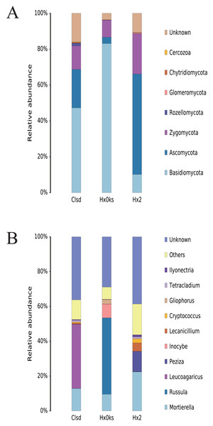 The composition of fungal community’s phyla (A) and genus (B) levels in forest soil (Hxoks); two years fallow soil (Hx2) and the replanted soil after fallow for two years (Clsd).