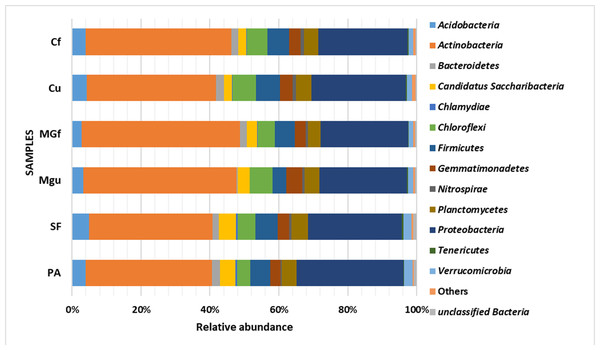 Relative abundance of most common bacteria phyla.