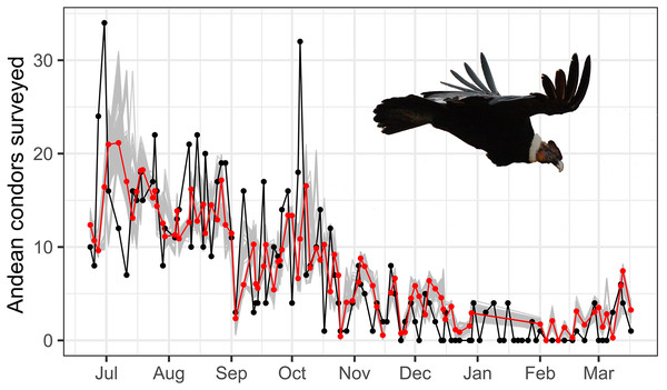 Time serie plot of surveyed and estimated condor.