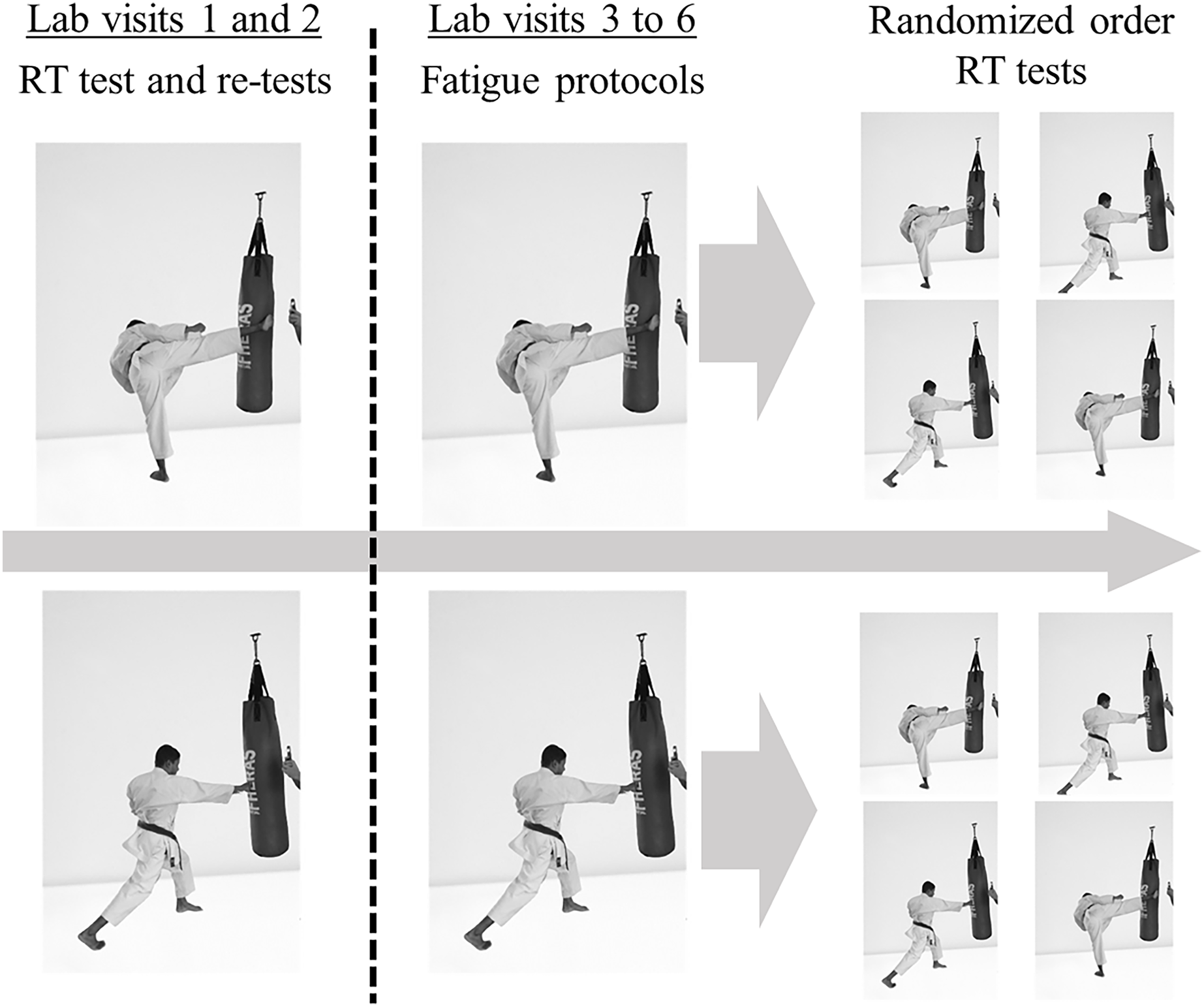 Effects of lower and upper body fatigue in striking response time of amateur karate athletes PeerJ photo
