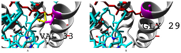 (A–B) Valine residue V33 of LH4 complex and its interaction with chromophores (rhodopin, coloured red, and bacteriochlorophyll, coloured via standard element coloring scheme).