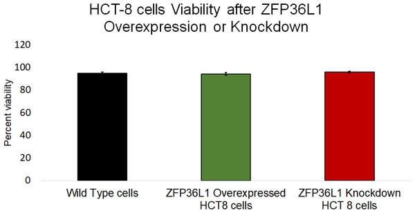 Effect of ZFP36L1 on HCT-8 cells viability.