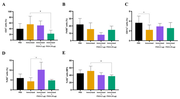 Frequency of positive cells for CD3, F4/80, CD11c or TLR2 in the lungs of immunized mice in association with adjuvant P3C4.