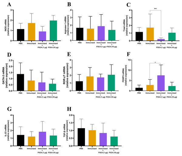 Effect of different doses of the adjuvant P3C4 in the relative expression of the differentiation markers of T cells and macrophages in the lung tissue.