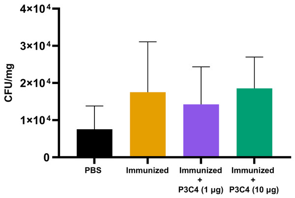 Fungal burden in the lungs of immunized mice in association with adjuvant P3C4 that were challenged with C. gattii infection.