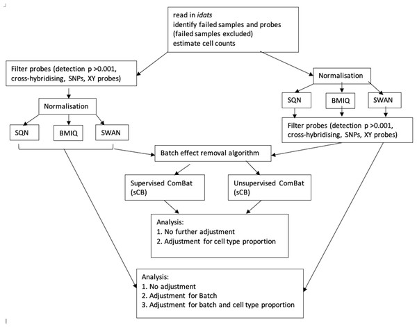 Flowchart of data processing and analysis.