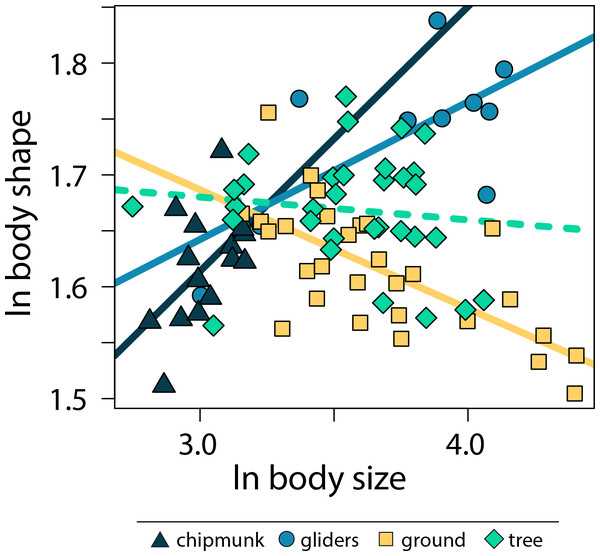 Scatter plot of ln body size and ln body shape.