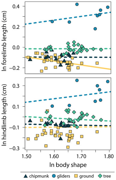 Scatter plot of ln body shape and ln size-corrected forelimb and hind limb lengths.