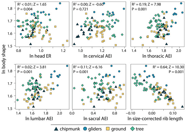 Scatterplots of ln body shape and morphological components underlying body shape.