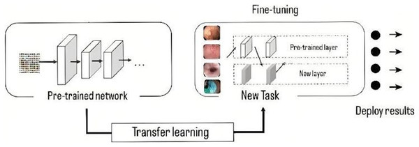 Representation of transfer learning process.