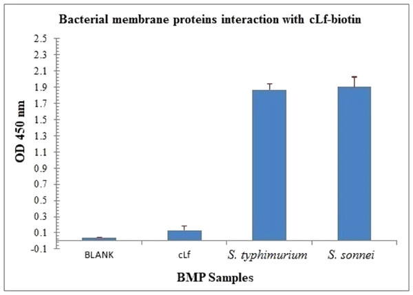 Immunoassay estimation of interaction between cLf-biotin and BMP extract of S. typhimurium or S. sonnei.