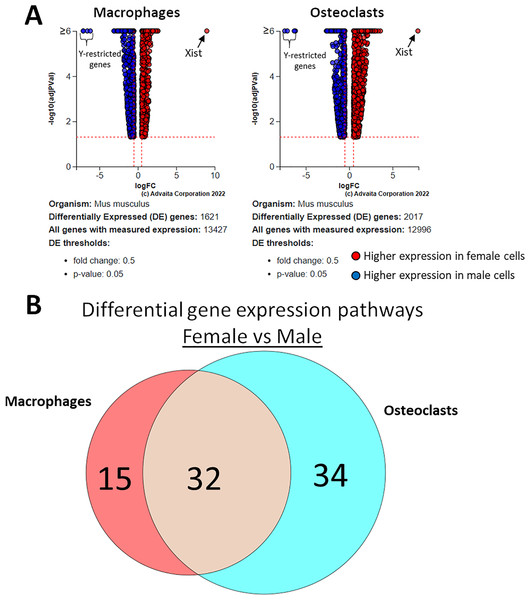 Gene and pathway analysis of sexually divergent RNA-Seq data.