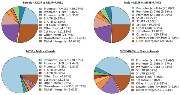 Differentially accessible chromosome locations in female and male macrophages cultured with MCSF alone or MCSF and RANKL.
