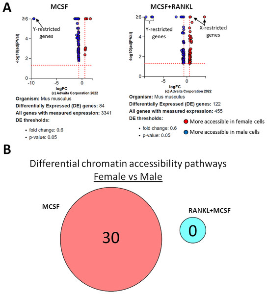 Gene and pathway analysis of sexually divergent ATAC-Seq data.