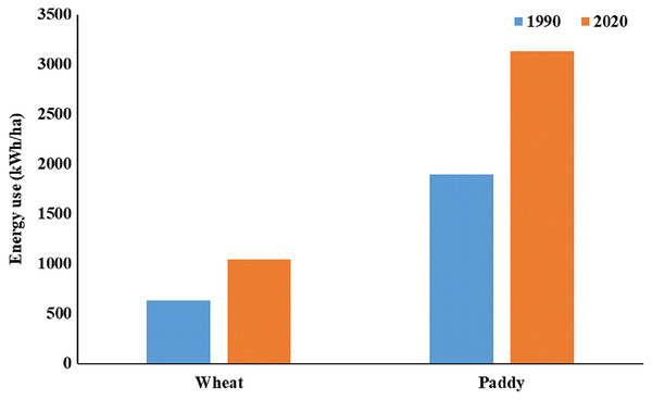 Energy use (kWh/ha) in wheat and paddy crops for the Rai block considering groundwater depth of year 1990 and 2020.