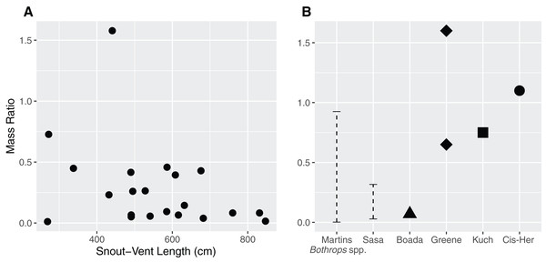 Relationship between the size of the snake (Snout–Vent Length) and the mass ratio (MR = prey mass/snake mass) (A) for Bothrops asper in Ecuador.