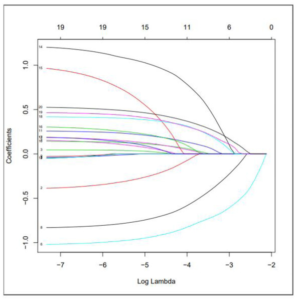 Use LASSO regression to make a map of risk factor coefficients.