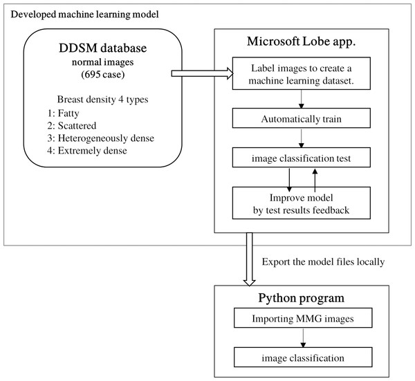 Development of a classification model using machine learning to classify mammography images into breast density configurations.