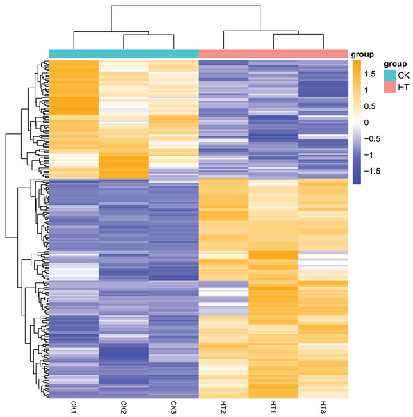 Heatmap of cluster analysis of DEGs from HT and CK transcriptomes.