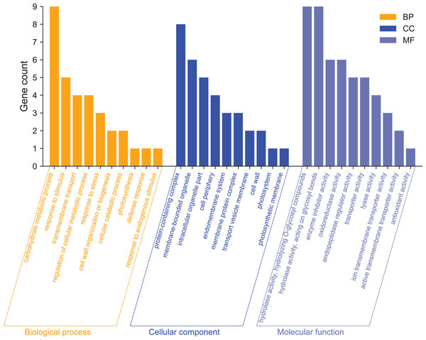 GO functional classification analysis of differentially expressed genes.