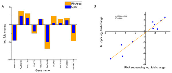 Comparison of real-time fluorescence quantitative expression and transcriptome sequencing of 10 DEGs.