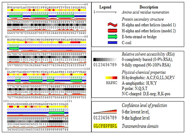 Secondary structure predictions for ZmSOD2 protein from drought tolerant inbred HKI 335.