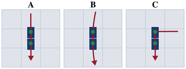 Motion paths of the three motion types straight running (A), curved running (B), and v-cut (C).