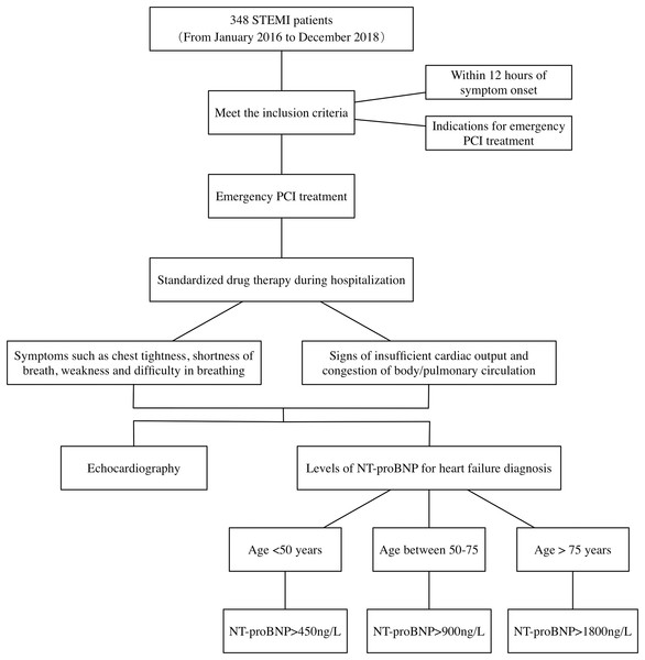 Diagnosis process of heart failure in STEMI patients during hospitalization.