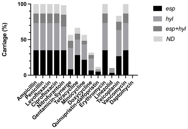 Distribution of virulence gene carriages in VRE-fm isolates with different antibiotic resistance.
