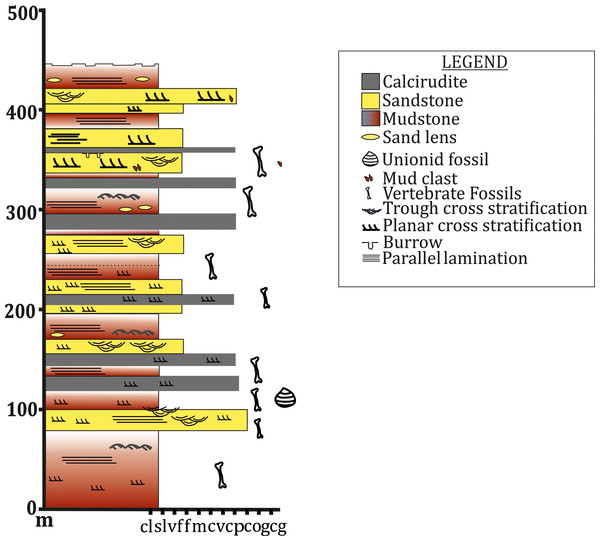 Litholog of the Maleri Formation modified from Kutty & Sengupta (1989).